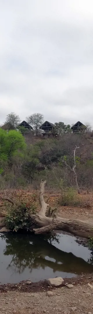 Bushcamp im Balule Game Reserve